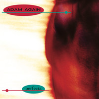 Adam Again - Perfecta (Remastered)