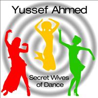Yussef Ahmed - Secret Wives of Dance