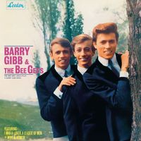 Bee Gees - The Bee Gees Sing and Play 14 Barry Gibb Songs