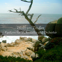 Wolfram Zindler - Fantasie für Violoncello und Orchester