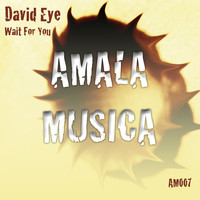 David Eye - Wait for You