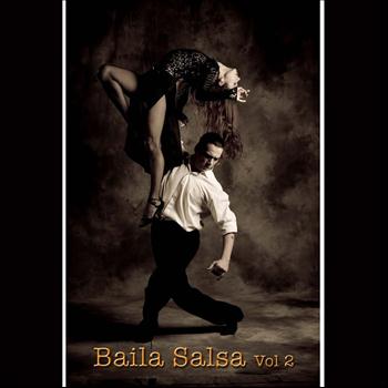 Various Artists - Baila Salsa Vol 2