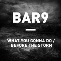 Bar9 - What You Gonna Do / Before The Storm