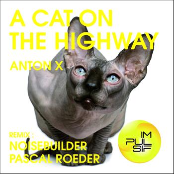 Anton X - A Cat On the Highway