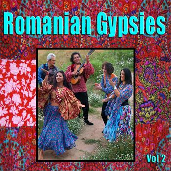 Various Artists - Romanian Gypsies Vol 2