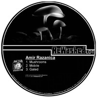 Amir Razanica - Mushroom