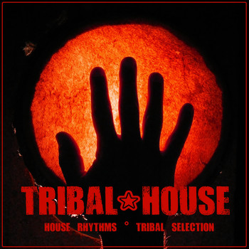 Various Artists - Tribal House