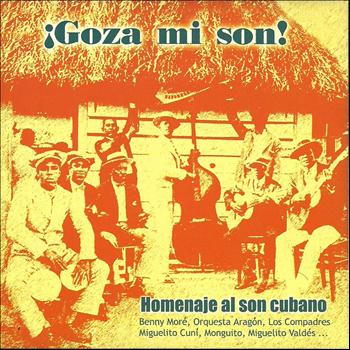 Various Artists - ¡Goza Mi Son!