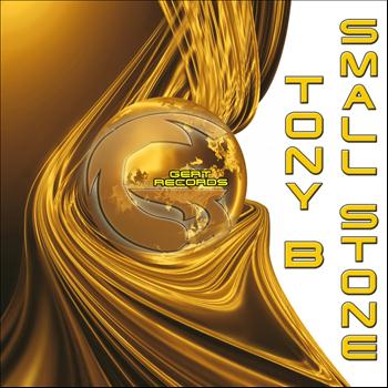 Tony B - Small Stone