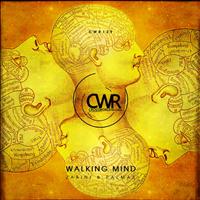 Zabini & Palmas - Walking Mind