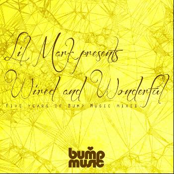 Various Artists - Lil Mark Presents Wired & Wonderful 5 Years of Bump Music