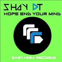 Shay DT - Hope End Your Mind