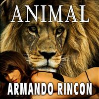 Armando Rincon - Animal
