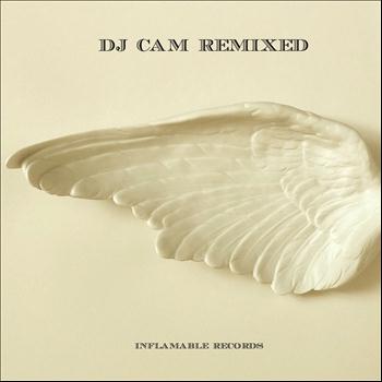Dj Cam - Remixed