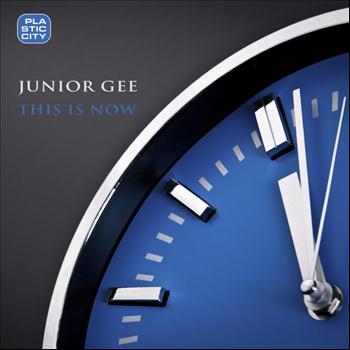 Junior Gee - This Is Now