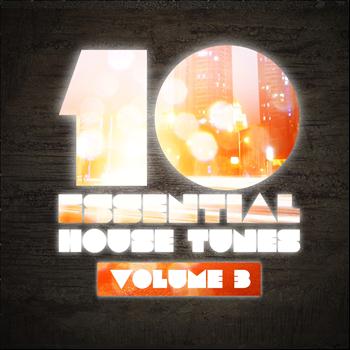 Various Artists - 10 Essential House Tunes, Vol. 3