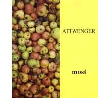 Attwenger - Most