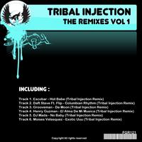 Tribal Injection - The Remixes Vol 1