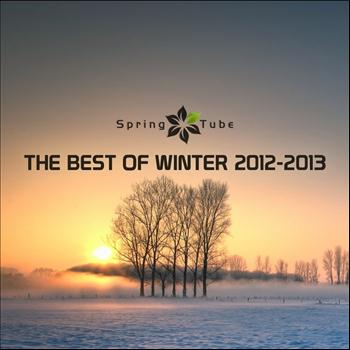 Various Artists - Spring Tube the Best of Winter 2012 - 2013