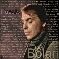 Joel Bolan - Facets