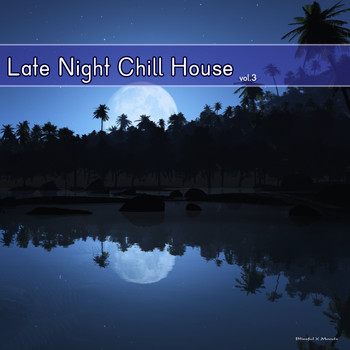 Various Artists - Late Night Chill House, Vol. 3