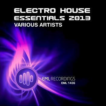Various Artists - Electro House Essentials 2013 (Explicit)