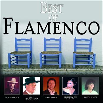 Various Artists - Best of Flamenco, Vol. 1