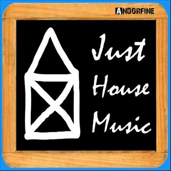 Various Artists - Just House Music