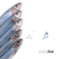 Brasy - Live