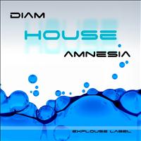 DiAM - Amnesia