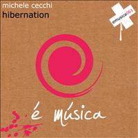 Michele Cecchi - Hibernation
