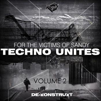 Various Artists - Techno Unites 'Victims of Sandy' Volume II