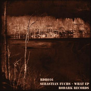 Sebastian Fuchs - What EP