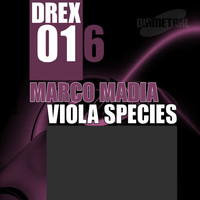 Marco Madia - Viola Species