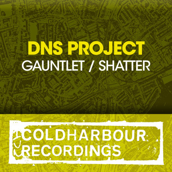 DNS Project - Gauntlet / Shatter