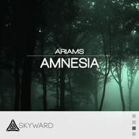 Ariams - Amnesia