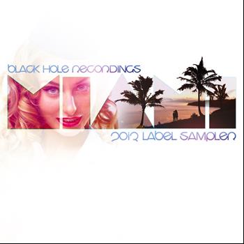 Various Artists - Black Hole Miami 2013 Label Sampler