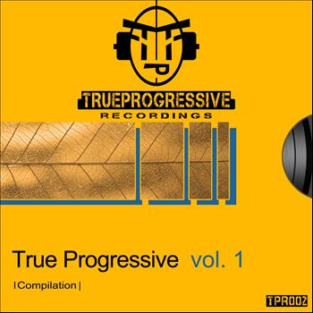 Various Artists - True Progressive Vol. 1