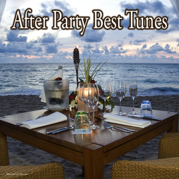 Various Artists - After Party Best Tunes