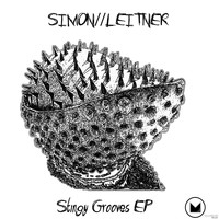 Simon Leitner - Stingy Grooves
