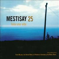 Mestisay - Mestisay 25 Toda Una Vida
