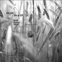 USLNK - Slice EP