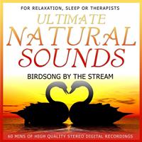 Niall - Ultimate Natural Sounds - Birdsong By the Stream