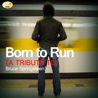 Ameritz - Tribute - Born to Run (A Tribute to Bruce Springsteen)