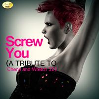 Ameritz - Tribute - Screw You (A Tribute to Cheryl and Wretch 32)