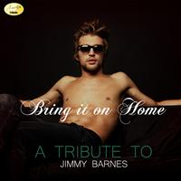 Ameritz - Tribute - Bring It On Home (A Tribute to Jimmy Barnes)