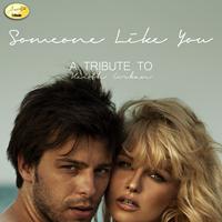 Ameritz - Tribute - Somebody Like You (A Tribute to Keith Urban)