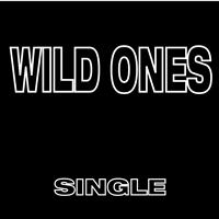 Flow-Z & DIAMONDS - Wild Ones - Single