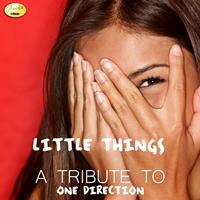 Ameritz - Tribute - Little Things (A Tribute to One Direction)