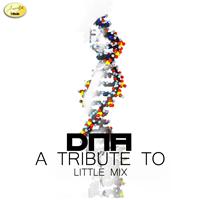 Ameritz - Tribute - DNA (A Tribute to Little Mix)